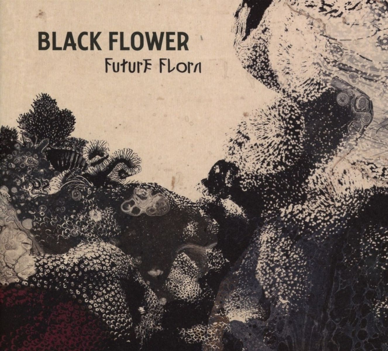 Afbeelding van Black Flower - Future Flora