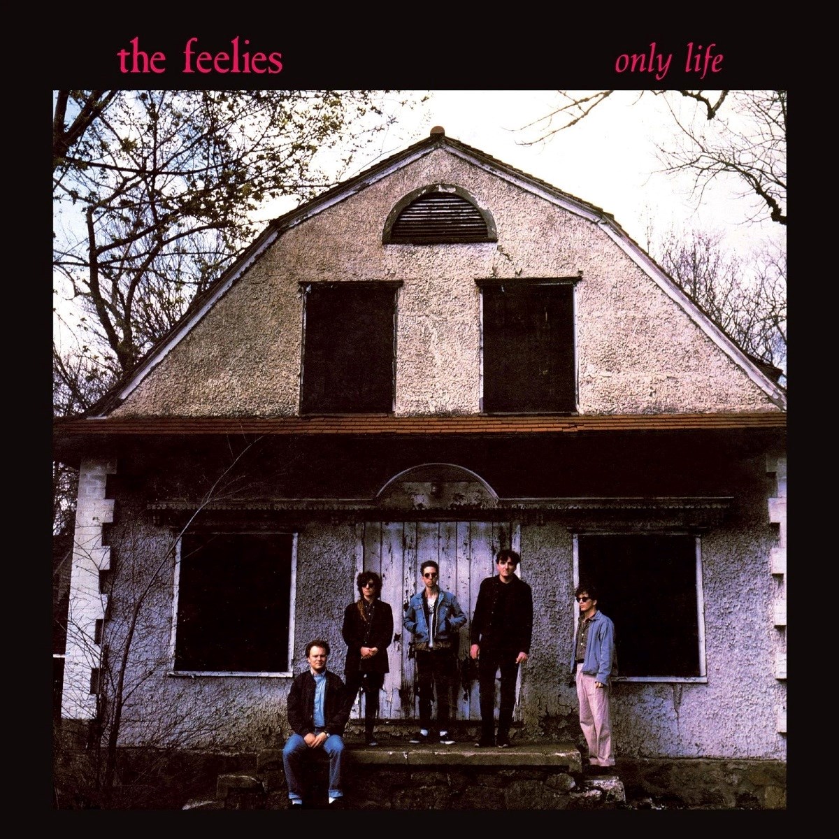 Afbeelding van The Feelies - Only Life