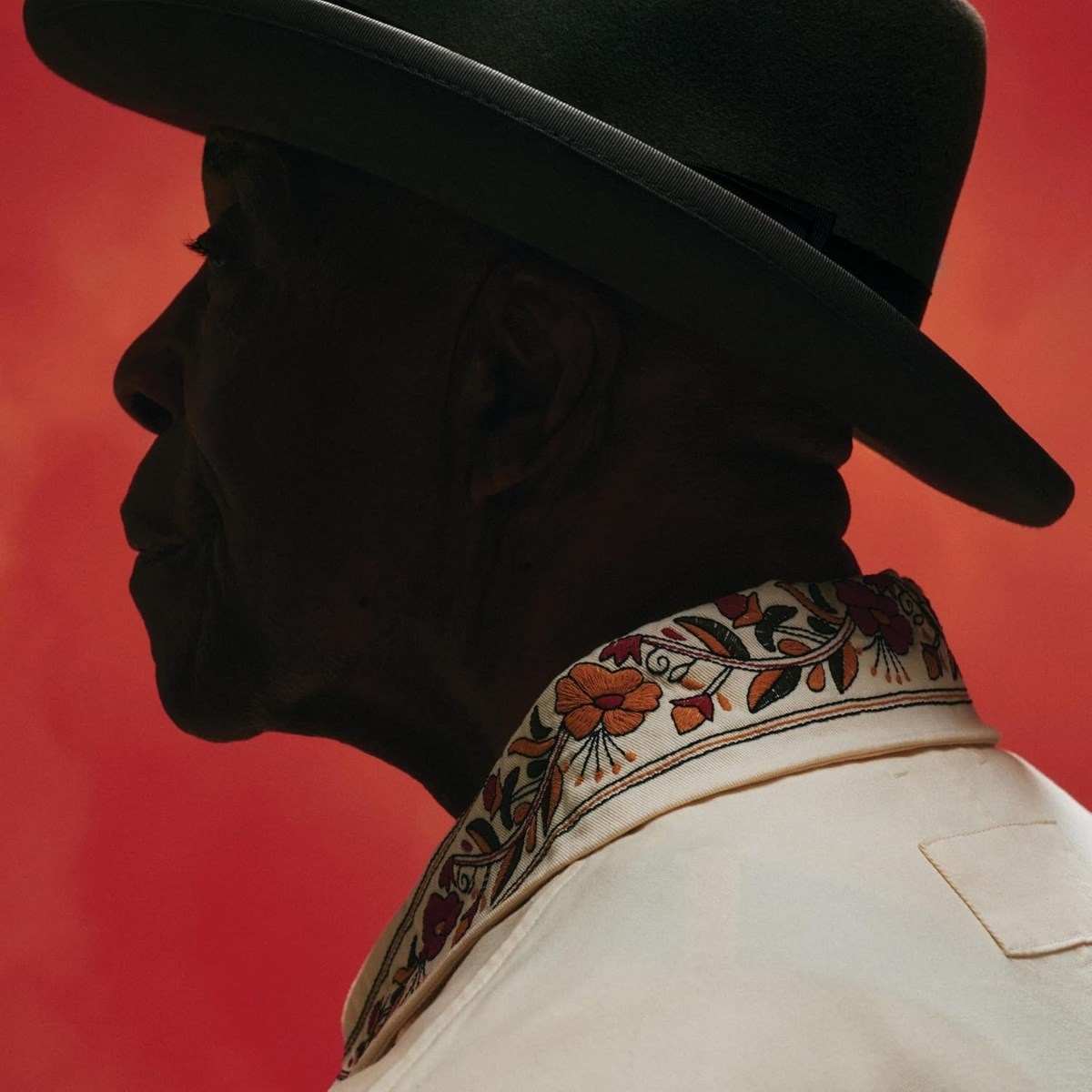 Afbeelding van Buddy Guy - Ain't Done With The Blues