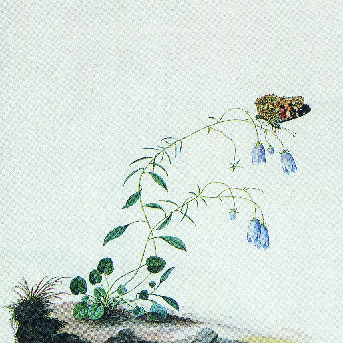 Afbeelding van Botanist - I: The Suicide Tree / II: A Rose From The Dead
