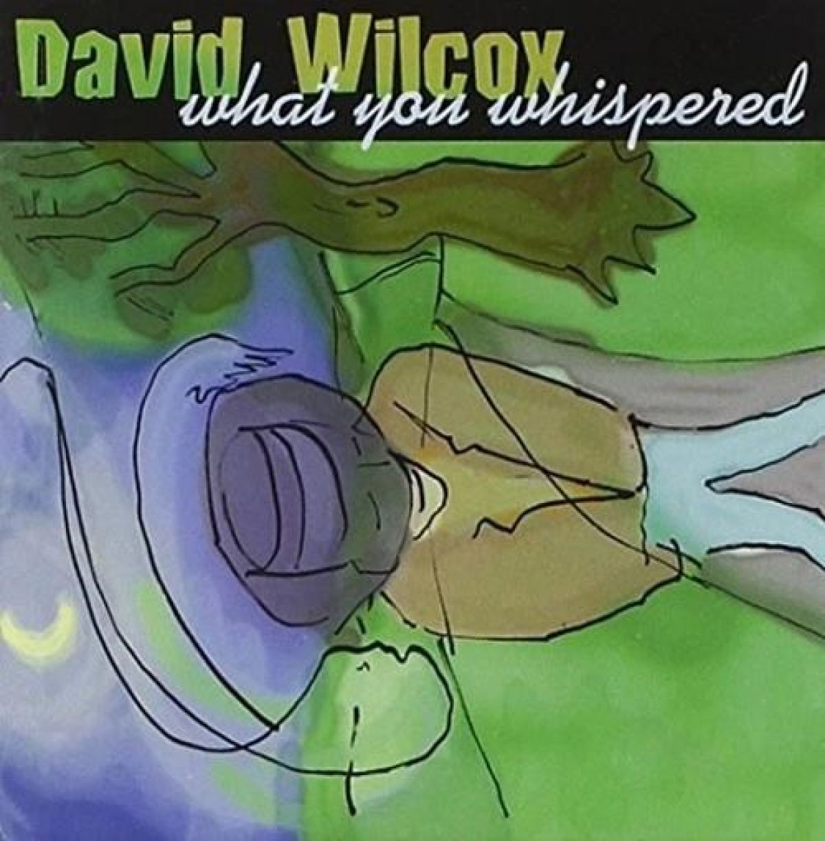 Afbeelding van David Wilcox - What You Whispered