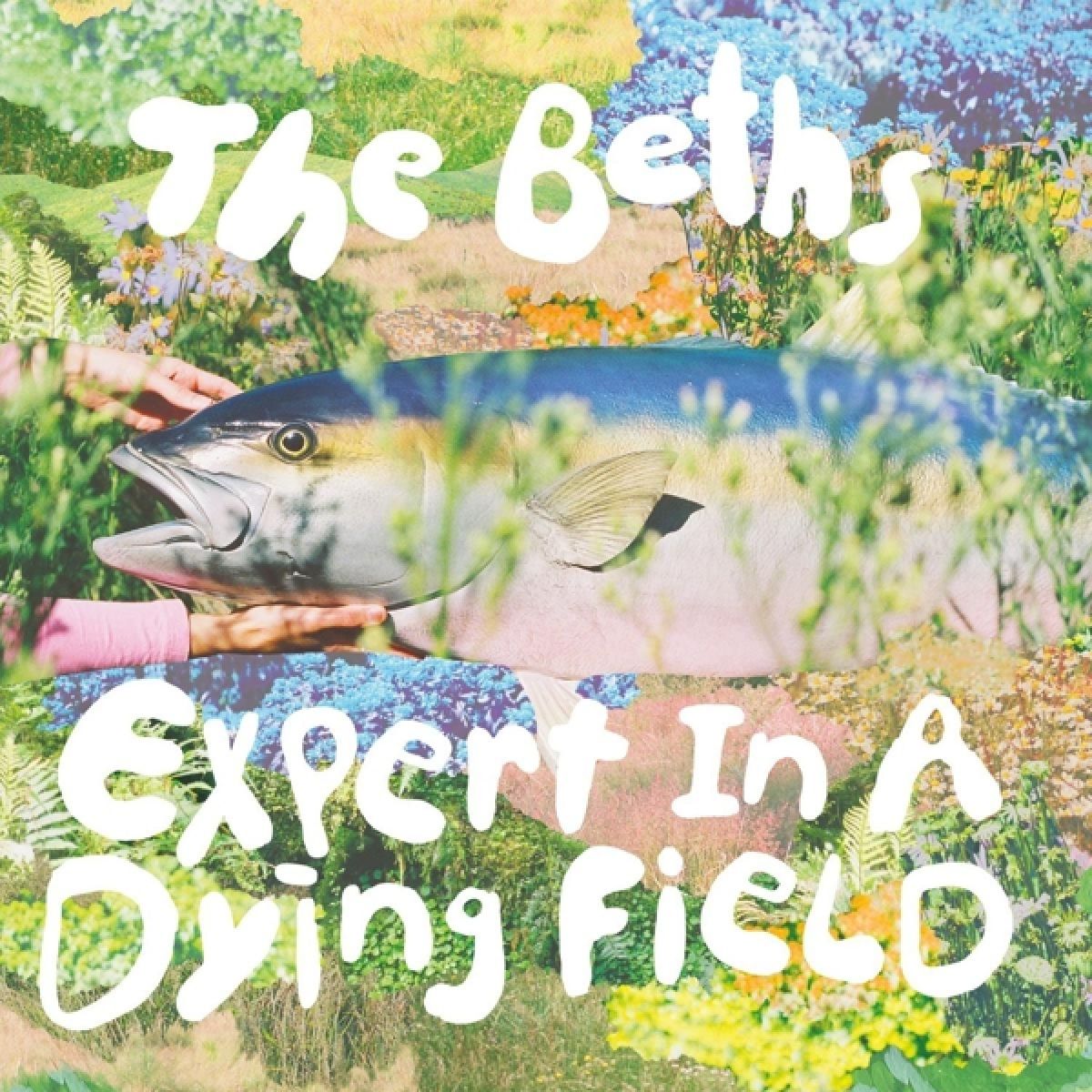 Afbeelding van The Beths - Expert In A Dying Field