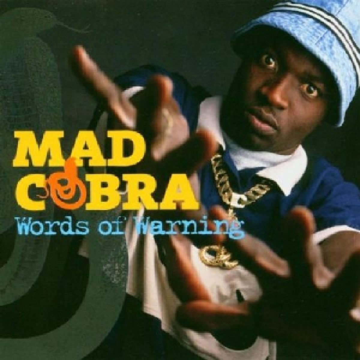 Afbeelding van Mad Cobra - Words Of Warning