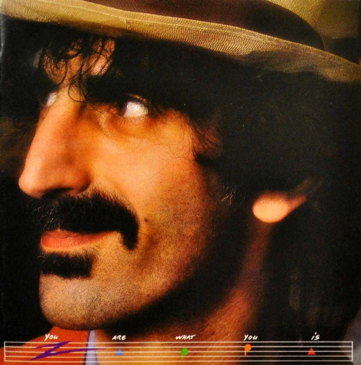 Afbeelding van Frank Zappa - You Are What You Is