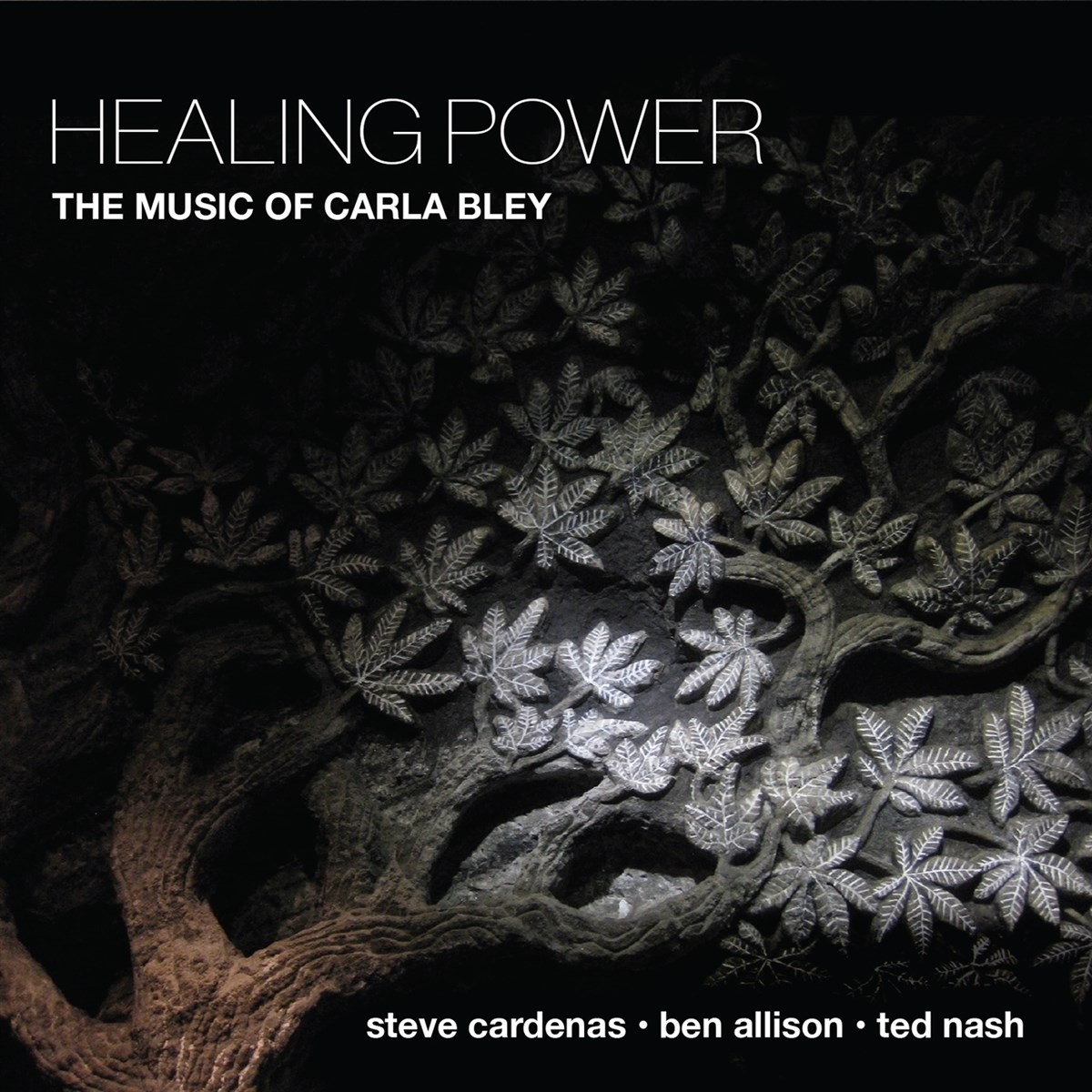 Afbeelding van Steve Cardenas, Ben Allison & Ted Nash - Healing Power: The Music Of Carla Bley