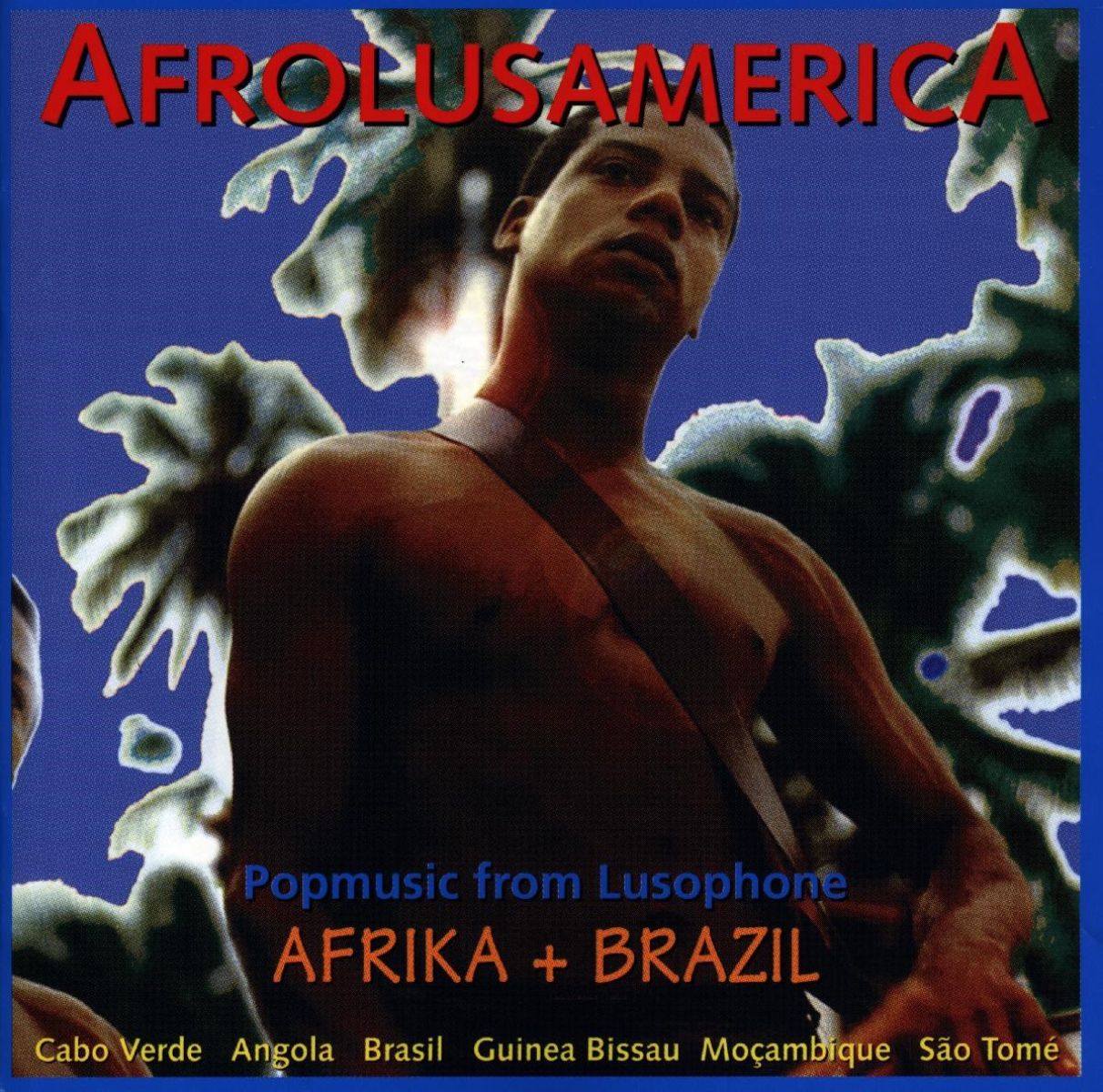 Afbeelding van Various Artists - Afrolusamerica