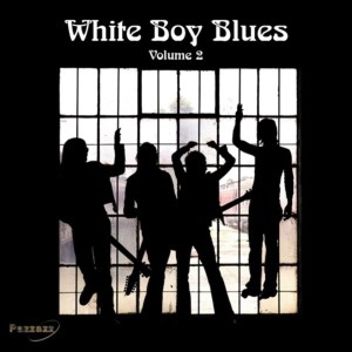 Afbeelding van Various Artists - The Blues Connection