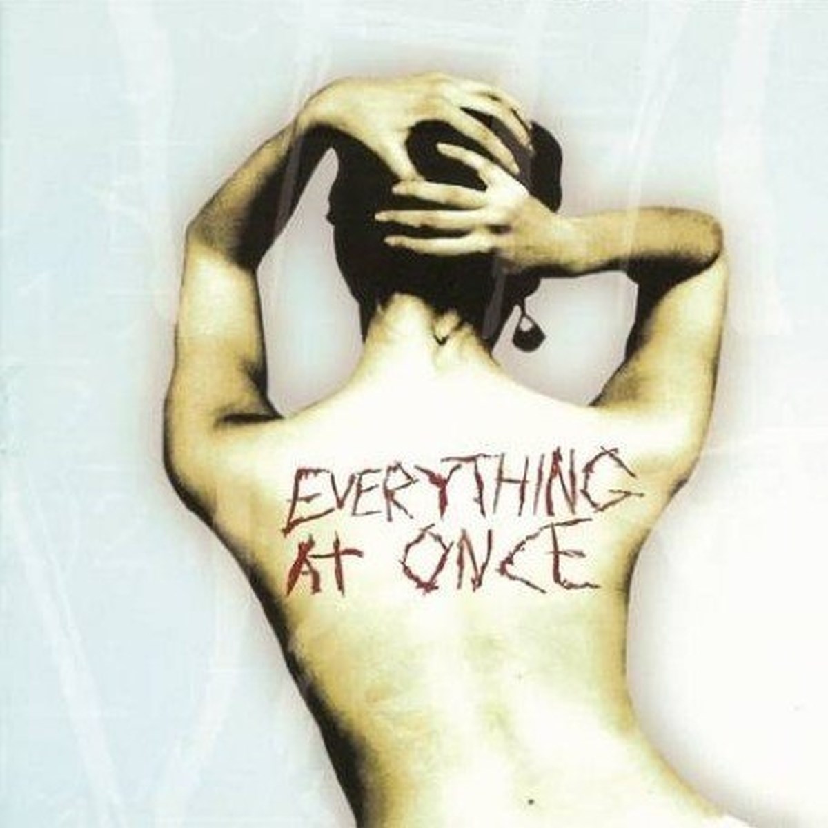 Afbeelding van Everything Ay At Once - Everything Ay At Once