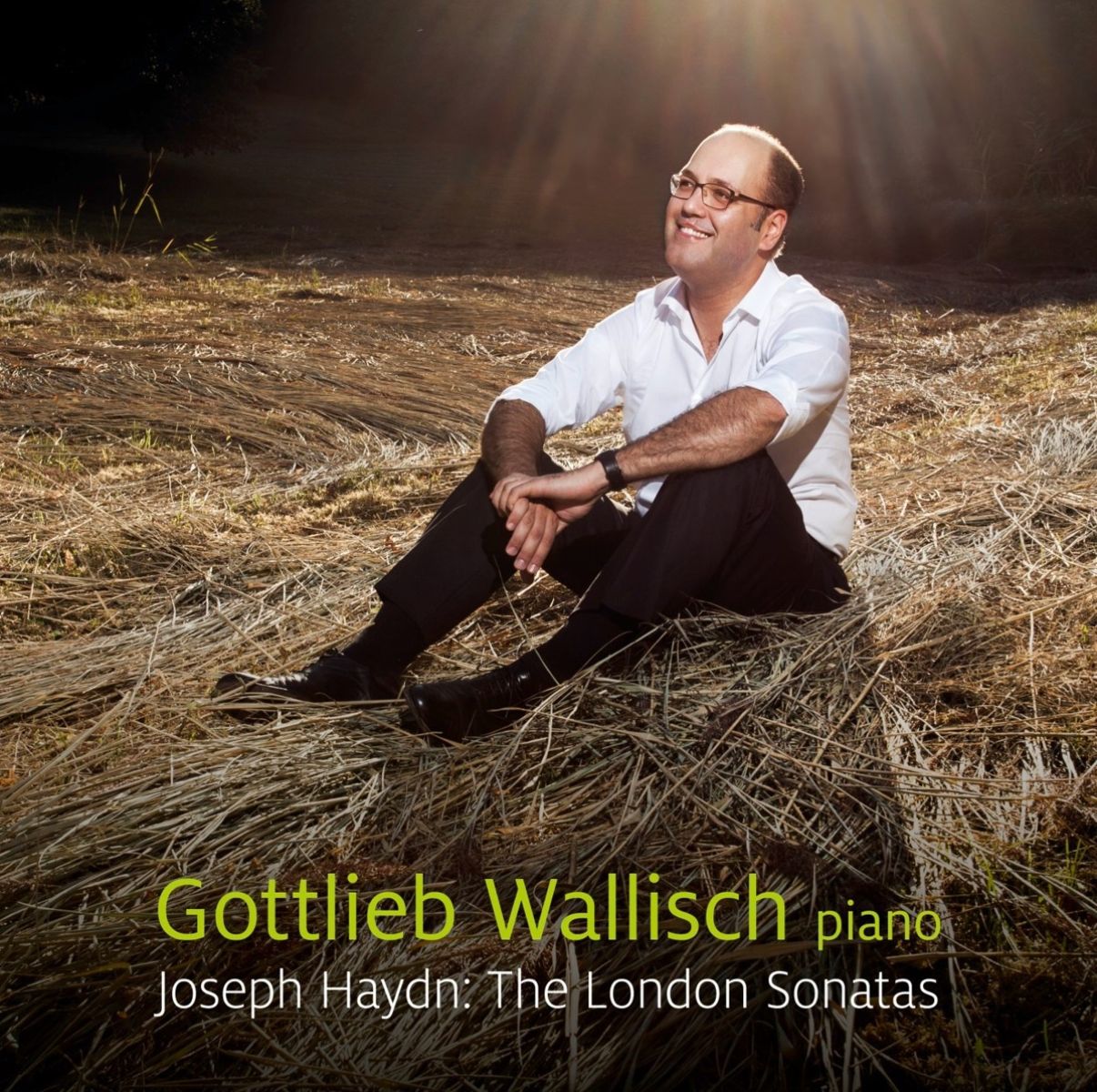 Gottlieb Wallisch - Piano Sonatas