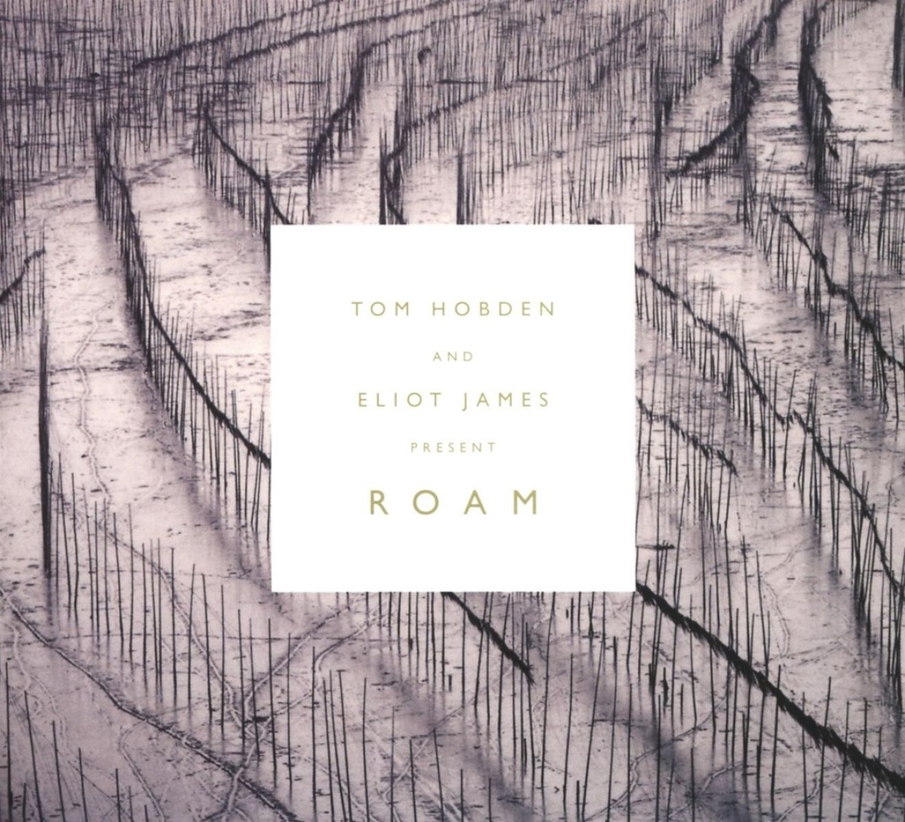 Afbeelding van Tom Hobden & Eliot James - Present: Roam