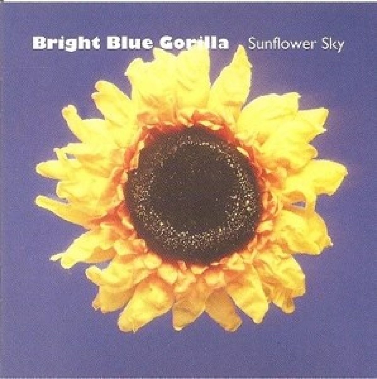 Afbeelding van Bright Blue Gorilla - Sunflower Sky
