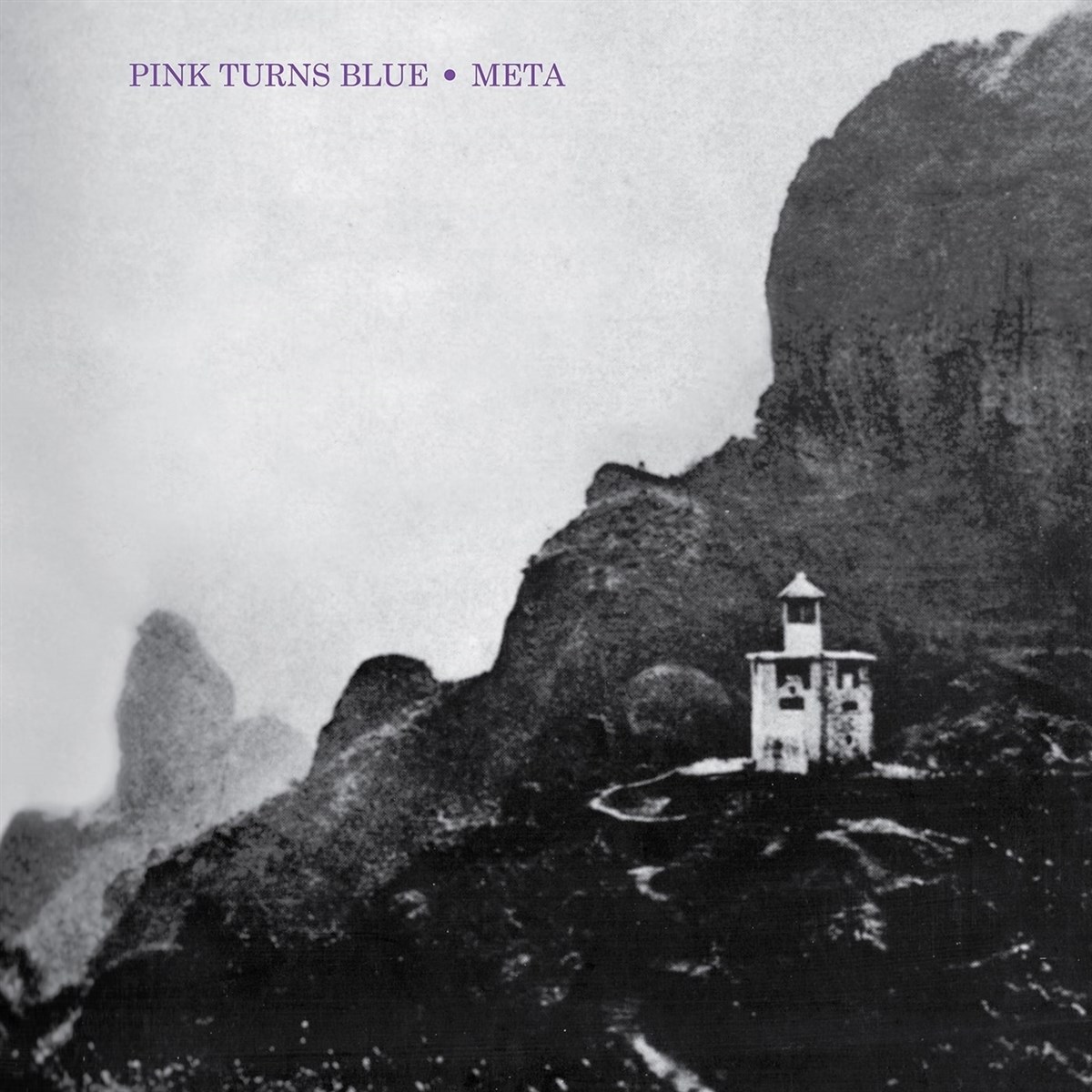 Afbeelding van Pink Turns Blue - Meta