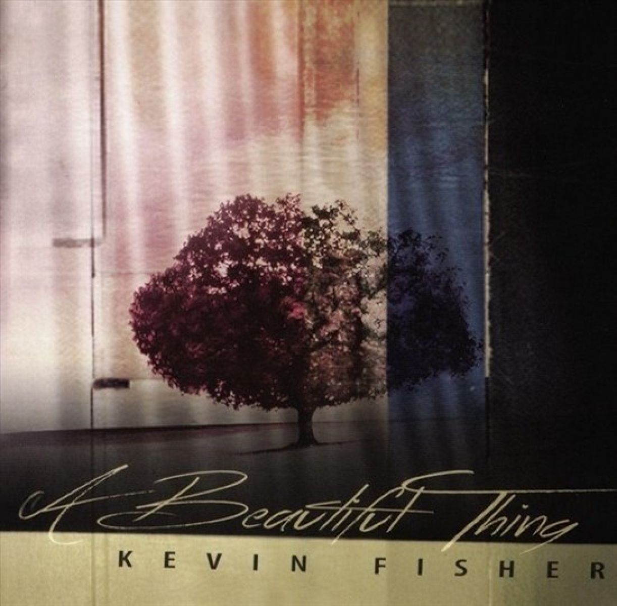 Kevin Fisher - A Beautiful Thing