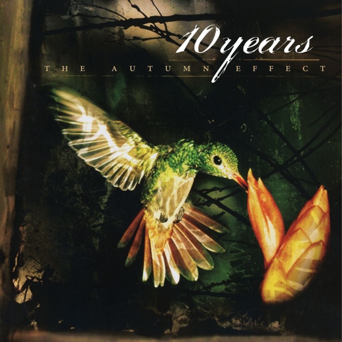 Afbeelding van Ten Years - Autumn Effect