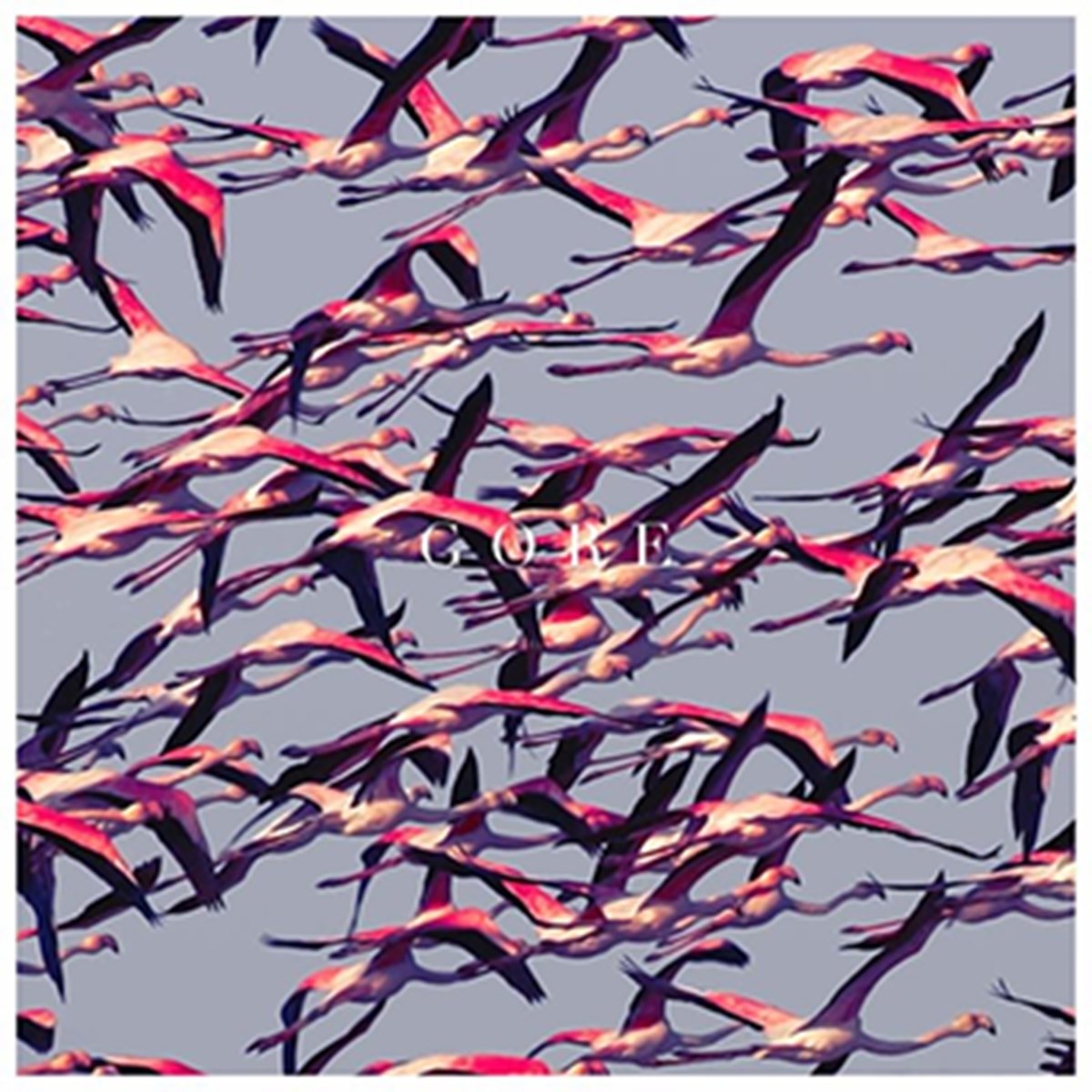 Afbeelding van Deftones - Gore