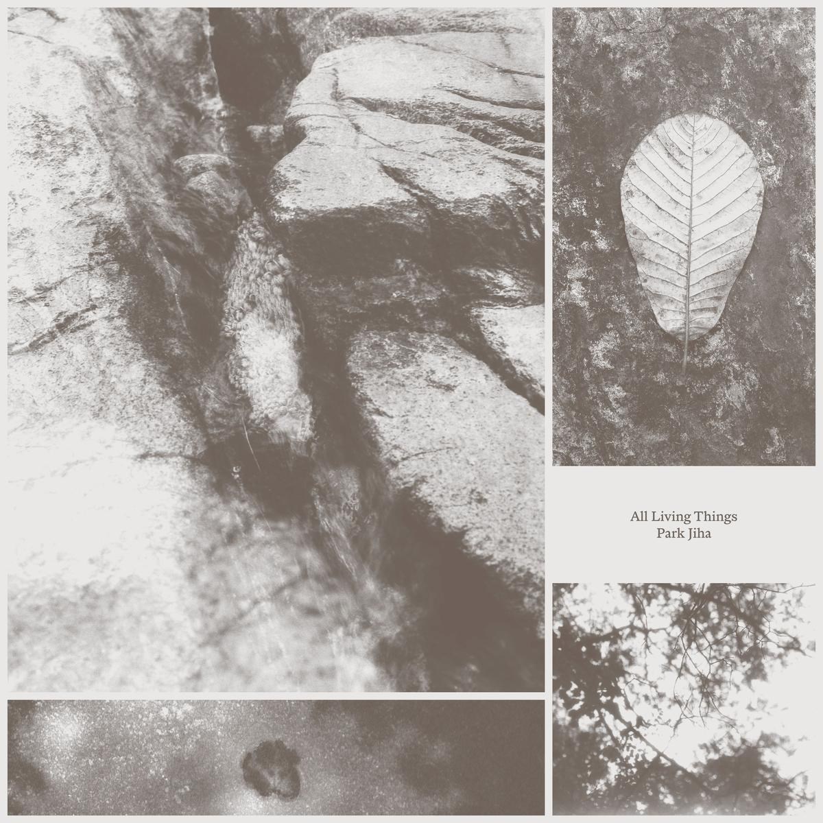Afbeelding van Park Jiha - All Living Things