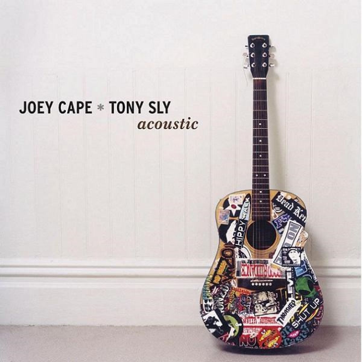 Afbeelding van Joey Cape & Tony Sly - Acoustic