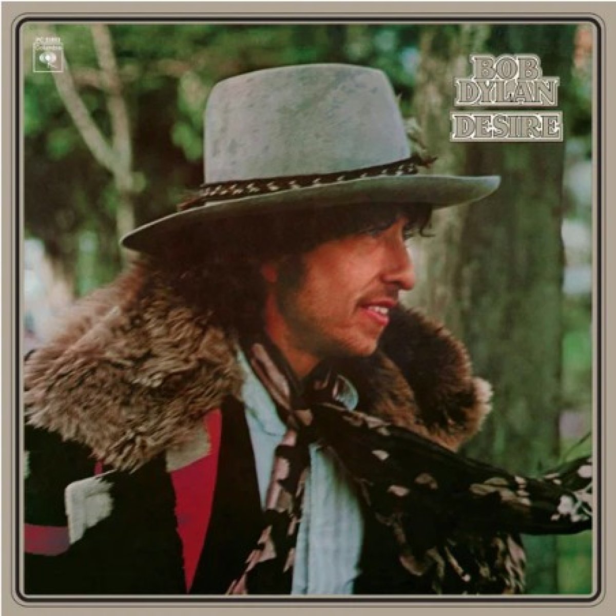 Afbeelding van Bob Dylan - Desire