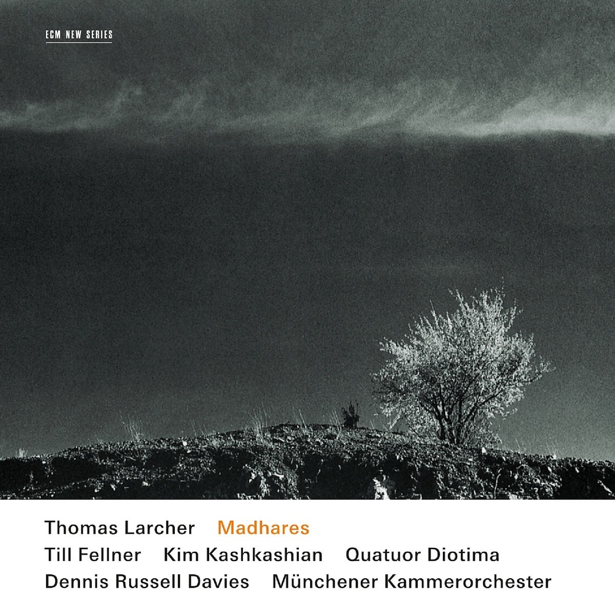 Afbeelding van Till Fellner, Kim Kashkashian, Quatuor Diotima, Münchner Kammerorchester - Larcher: Madhares