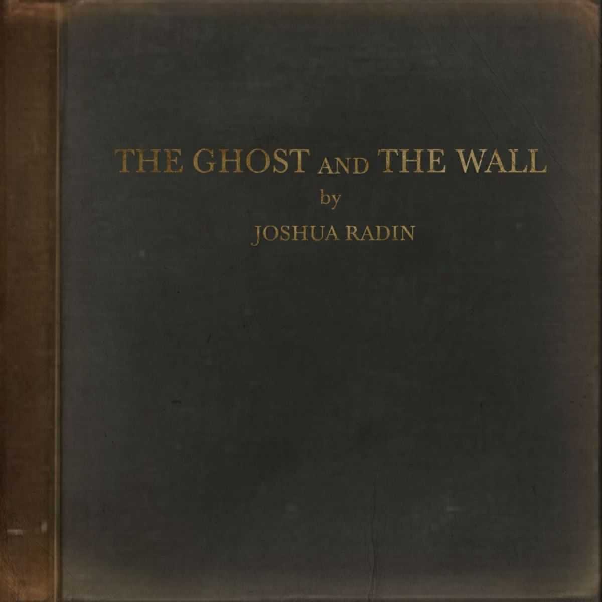 Afbeelding van Joshua Radin - The Ghost And The Wall