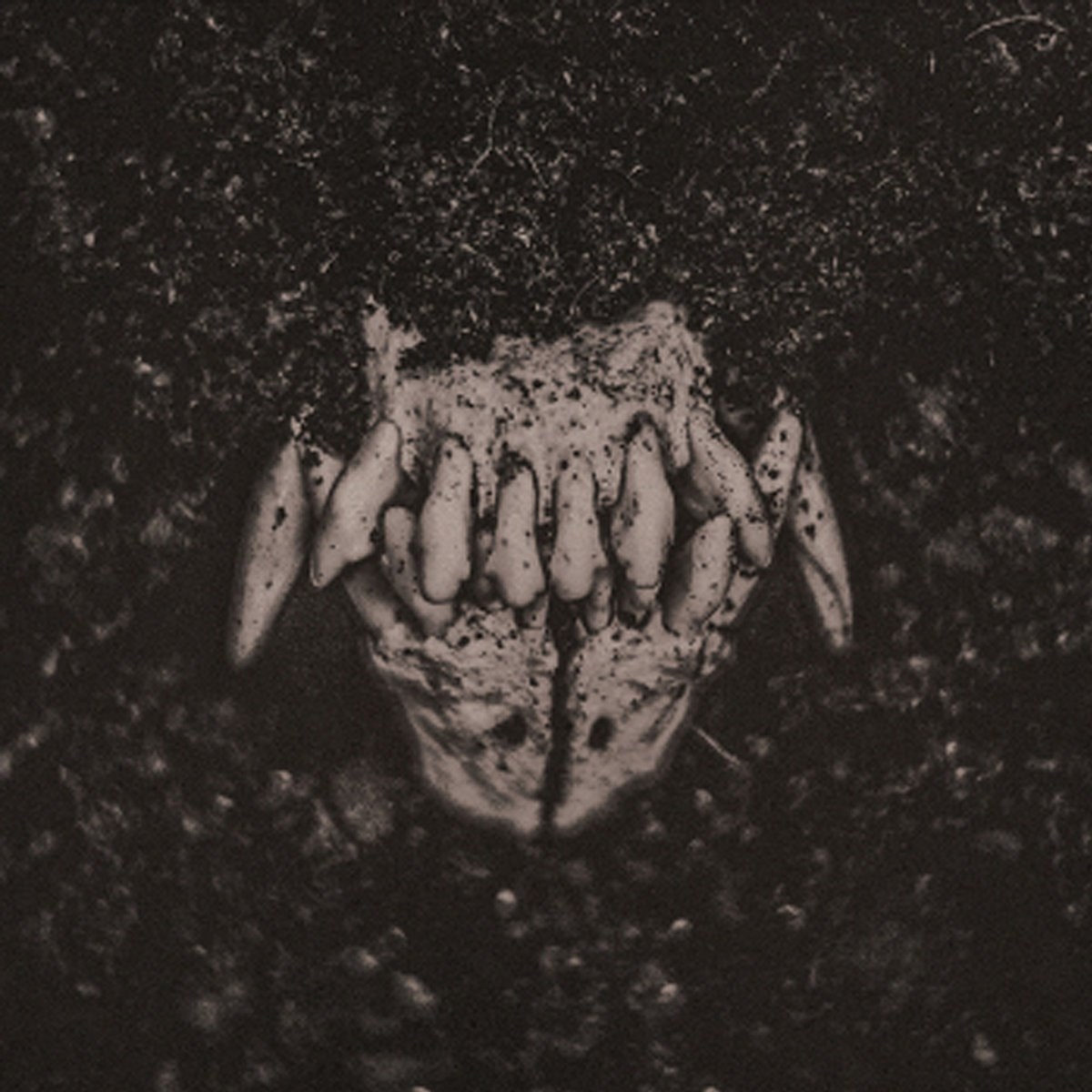 Afbeelding van Amenra - Mass I