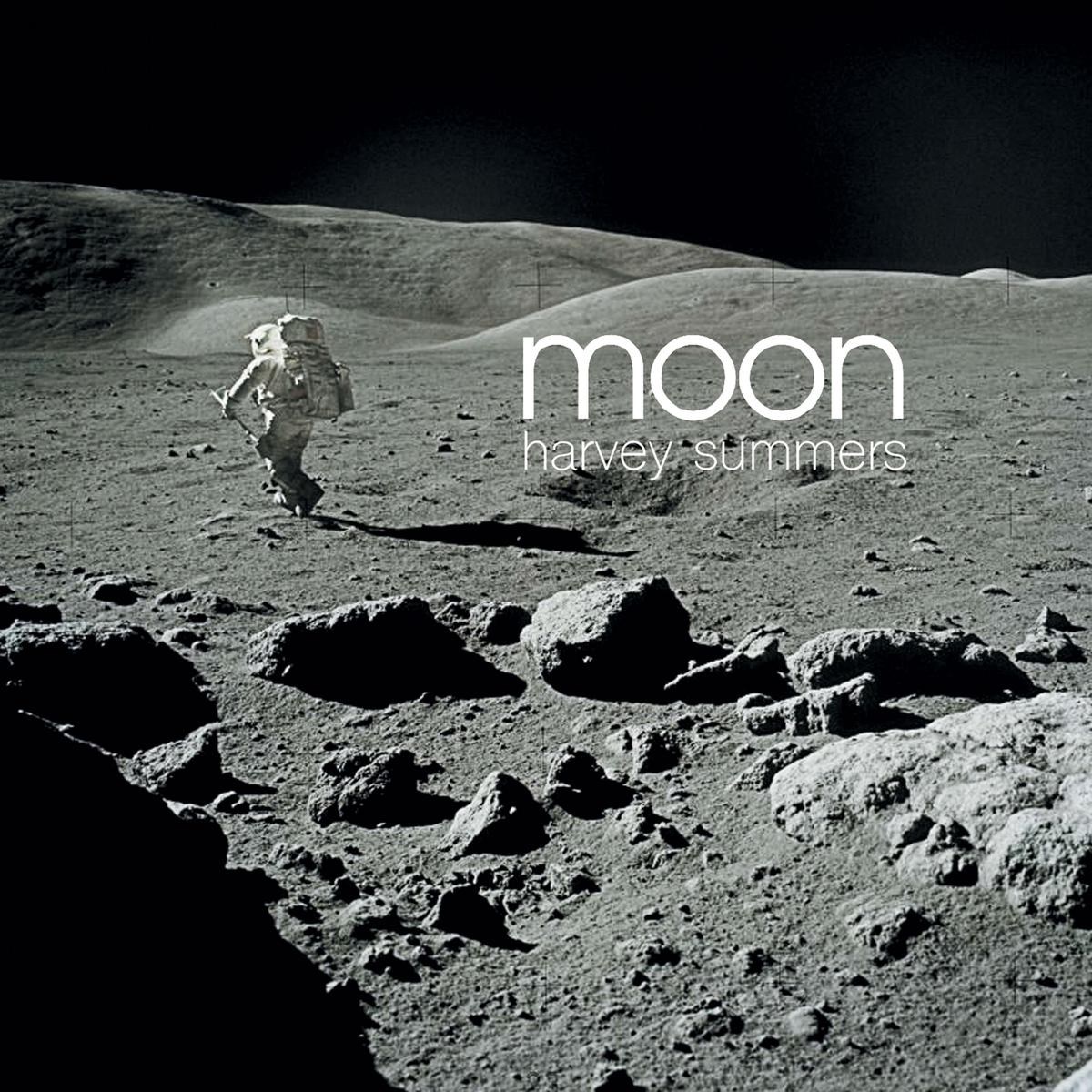 Afbeelding van Harvey Summers - Moon