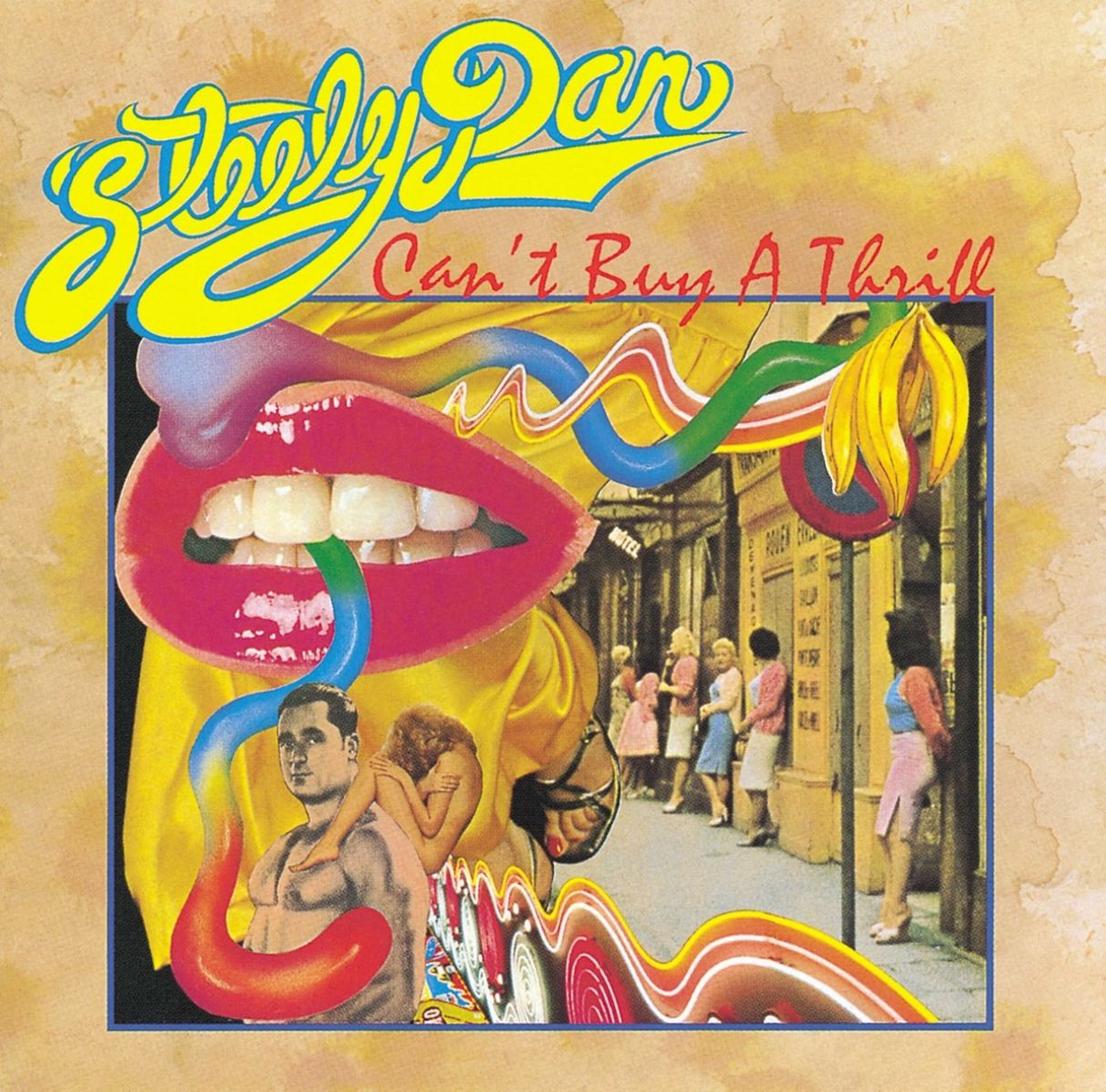 Afbeelding van Steely Dan - Can't Buy A Thrill