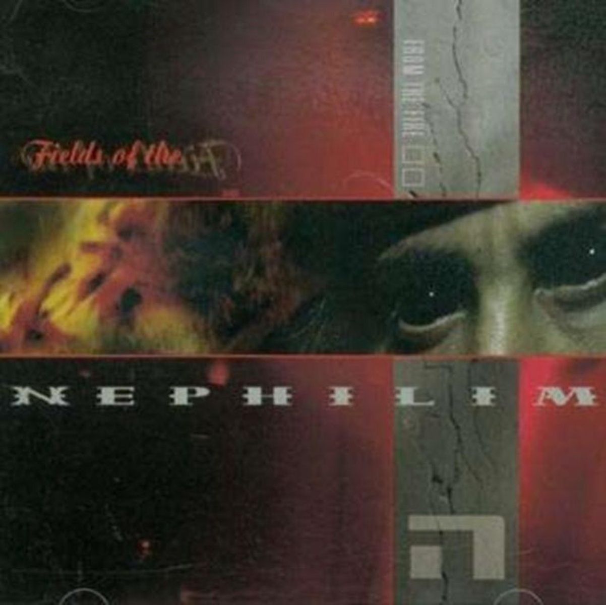 Afbeelding van Fields Of The Nephilim - From The Fire