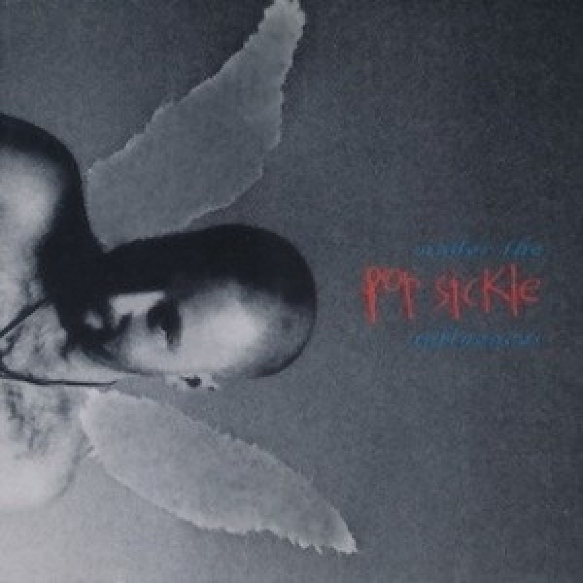 Afbeelding van Pop Sickle - Under The Influences