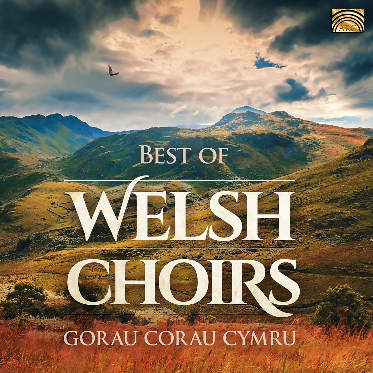 Afbeelding van Various Artists - Best Of Welsh Choirs
