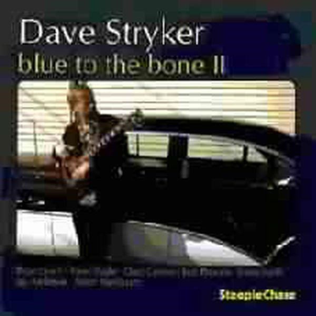 Afbeelding van Dave Stryker - Blue To The Bone II