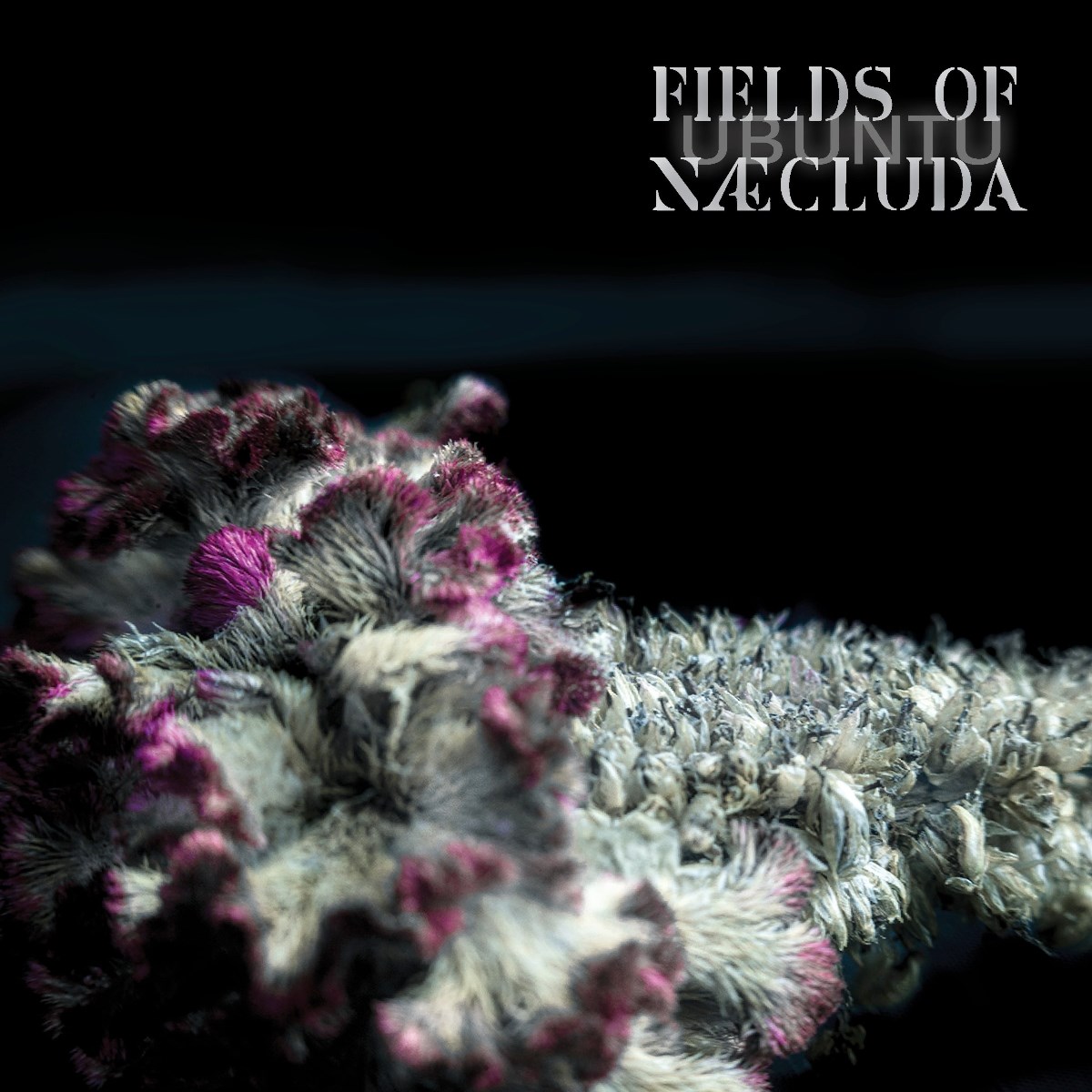 Fields Of Naecluda - Ubuntu