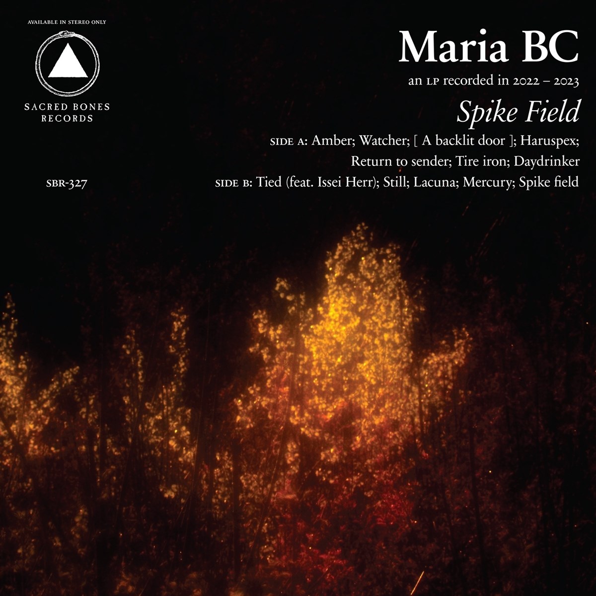 Afbeelding van Maria BC - Spike Field