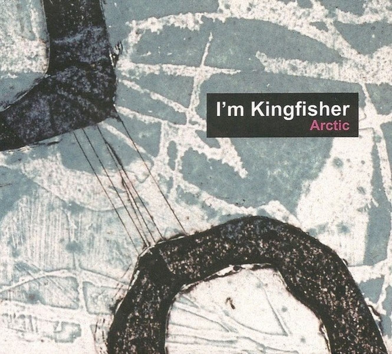 Afbeelding van I'm Kingfisher - Arctic