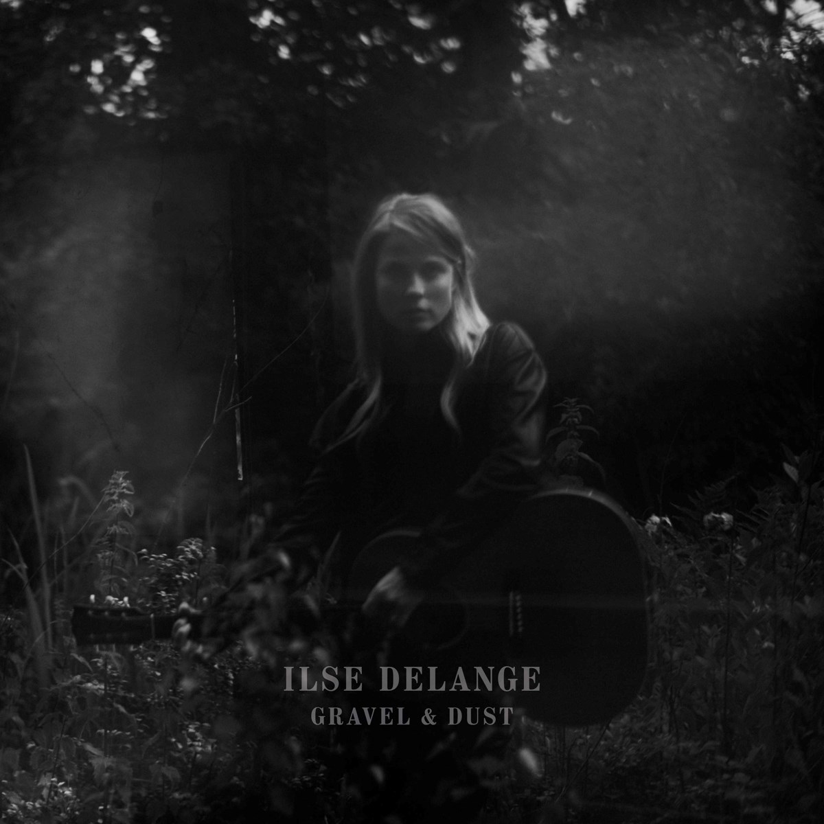 Afbeelding van Ilse DeLange - Gravel & Dust