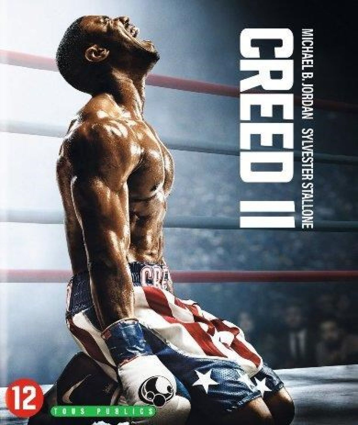 Afbeelding van Creed 2