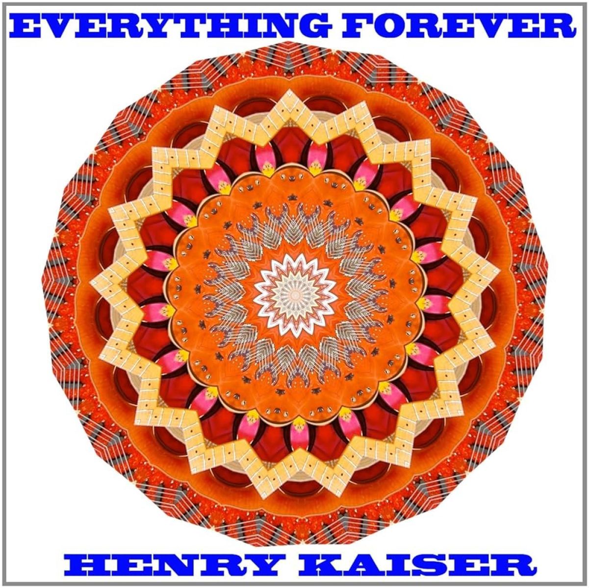 Afbeelding van Henry Kaiser - Everything Forever