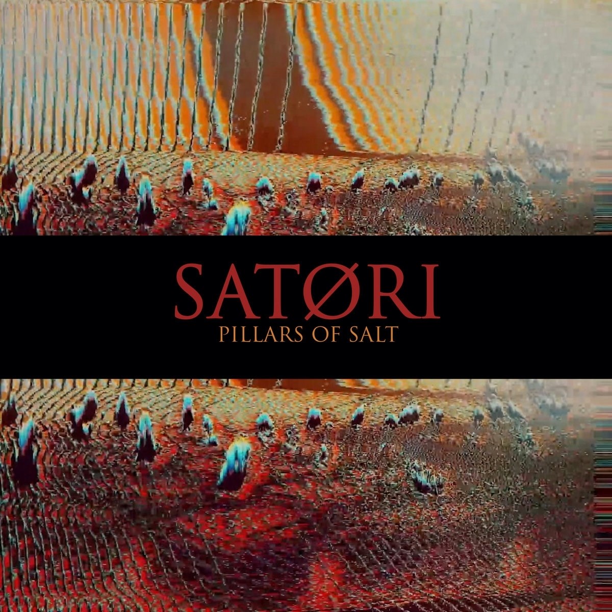Afbeelding van Satori - Pillars Of Salt