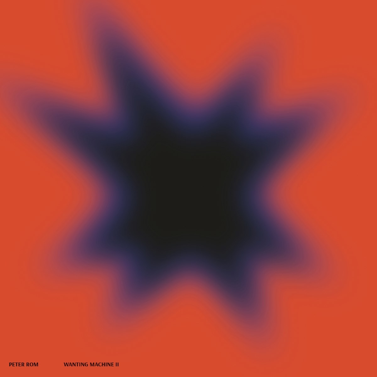 Peter Rom - Wanting Machine II