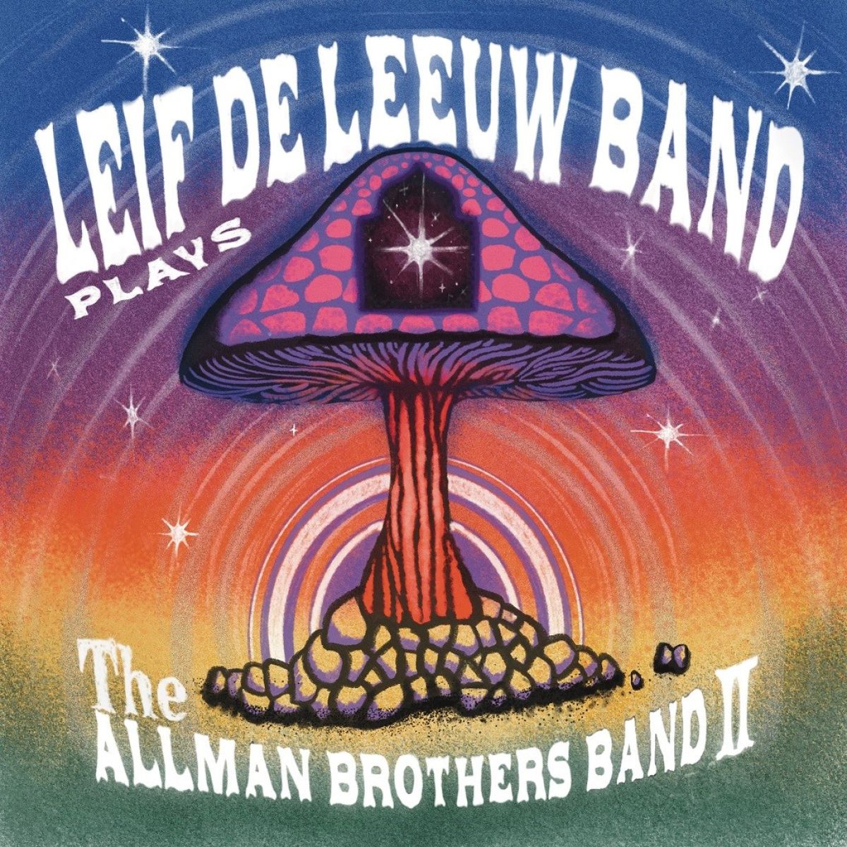 Afbeelding van Leif De Leeuw Band - Plays The Allman Brothers Band II