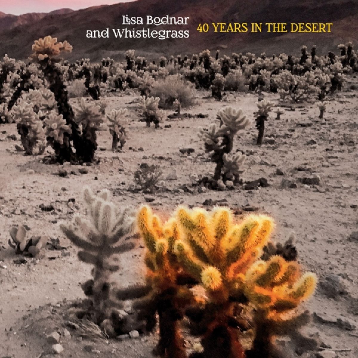 Afbeelding van Lisa Bodnar & Whistlegrass - 40 Years In The Desert