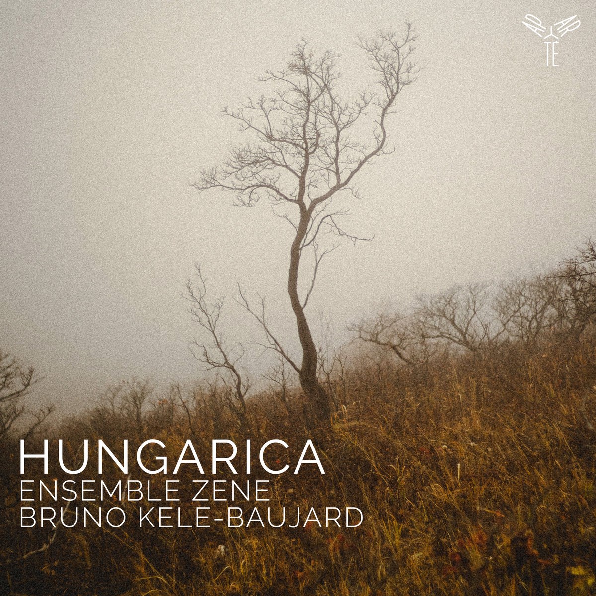 Afbeelding van Ensemble Zene & Bruno Kele-Baujard - Hungarica (Kodaly Bartok Ligeti)