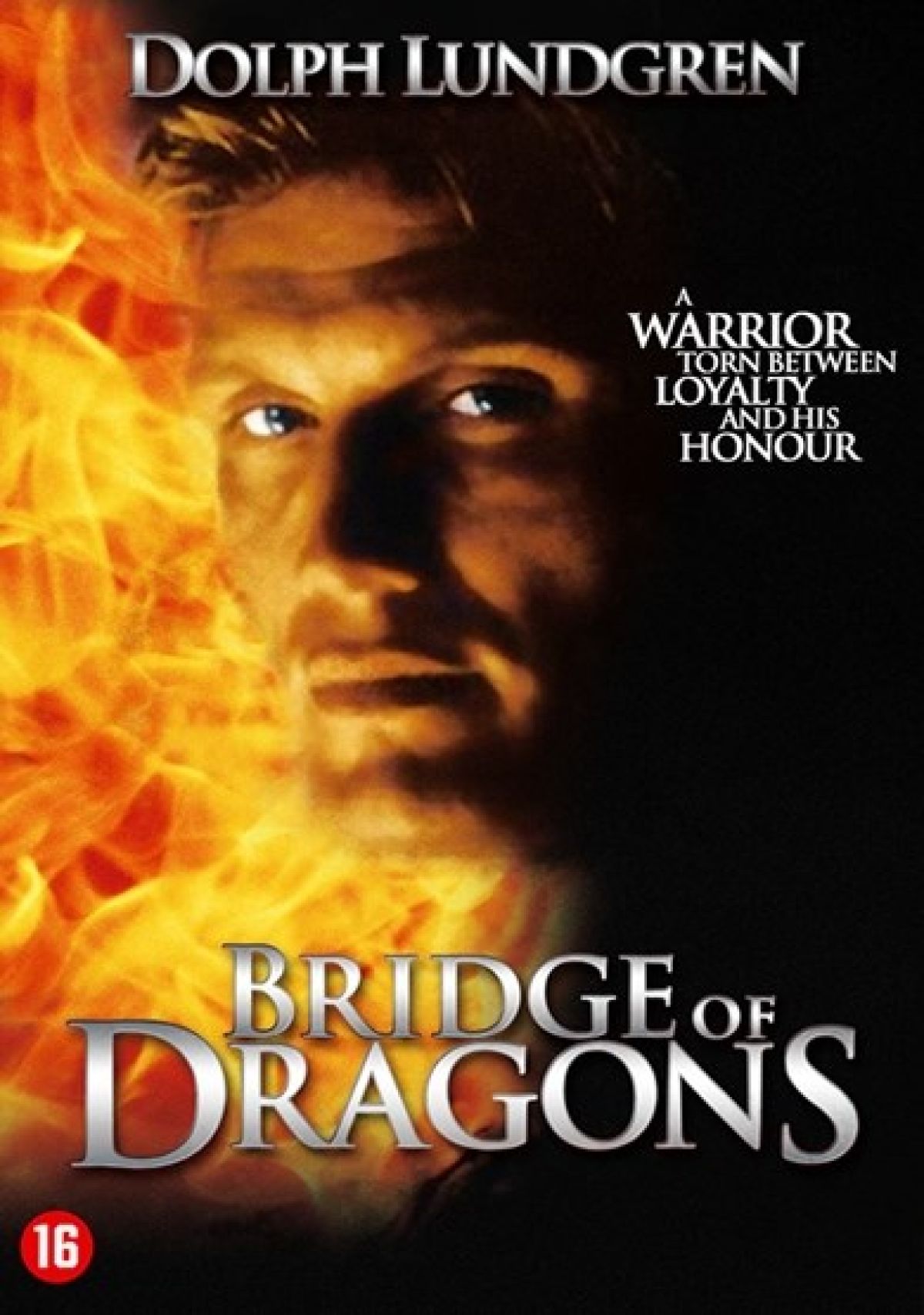Afbeelding van Bridge of dragons