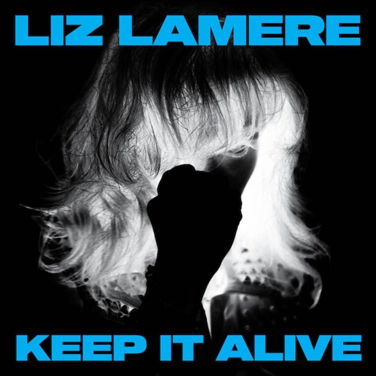 Afbeelding van Liz Lamere - Keep It Alive
