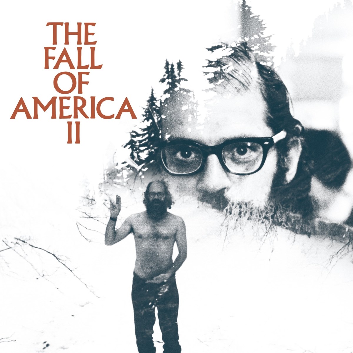 Afbeelding van Various Artists - The Fall Of America II