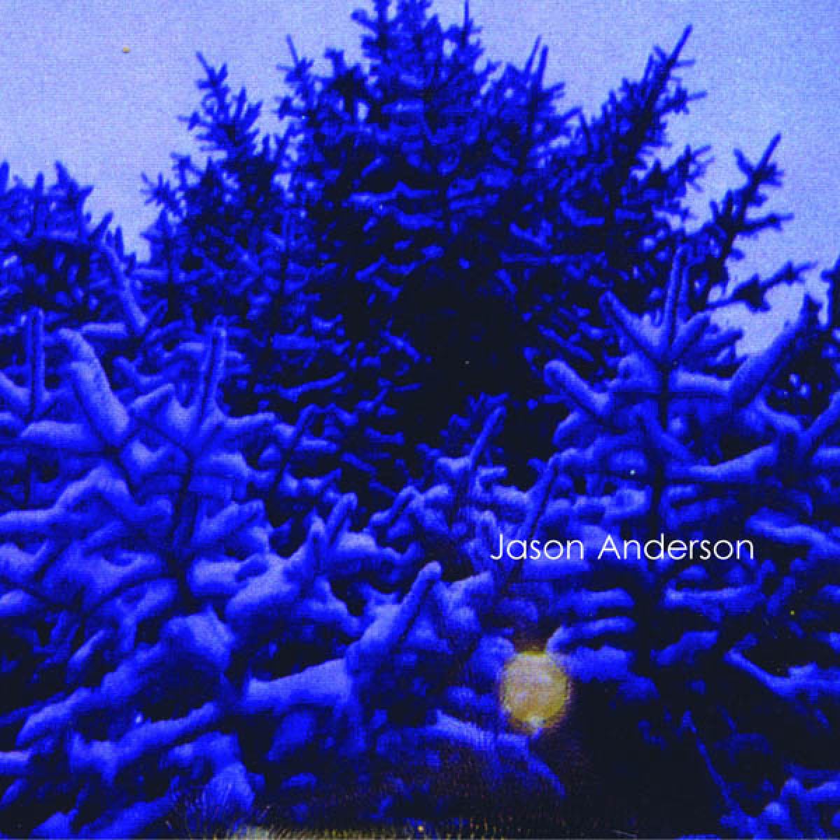Afbeelding van Jason Anderson - The Wreath
