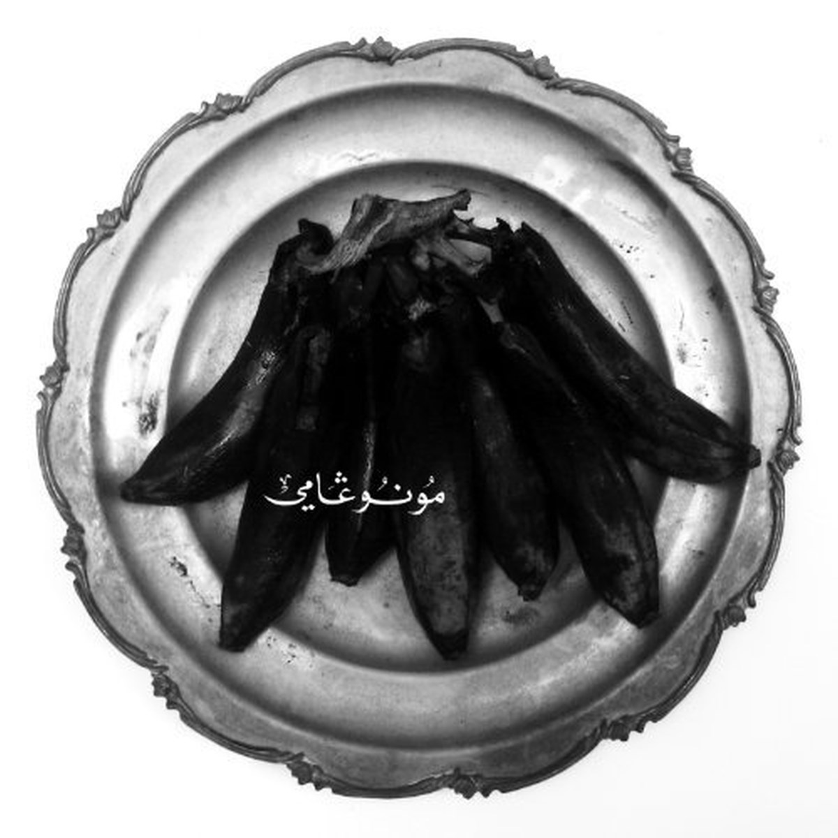 Afbeelding van Land Of Kush's Egyptian Light Orchestra - Monogamy