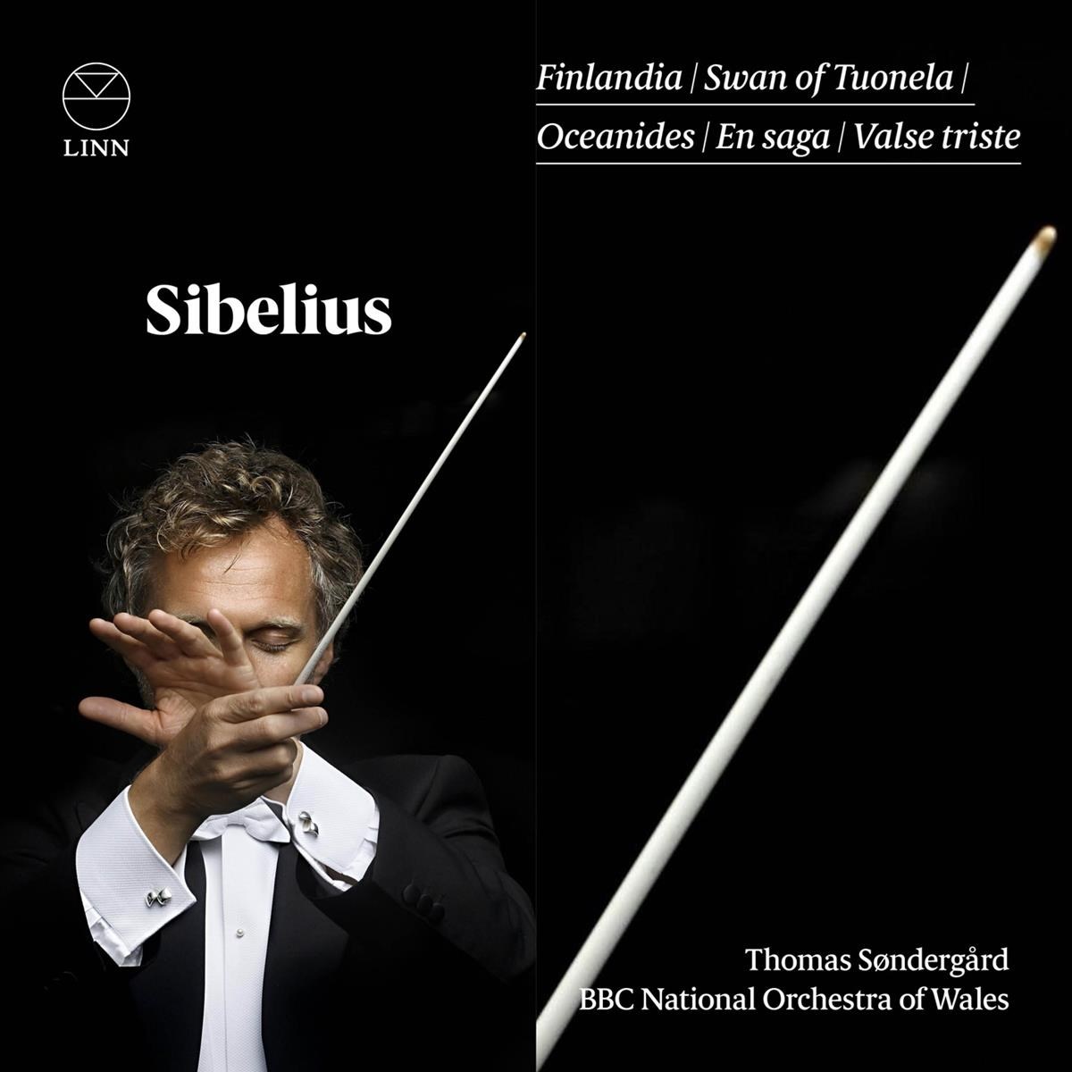 Afbeelding van BBC National Orchestra Of Wales, Thomas Søndergård - Sibelius: Finlandia | Swan Of Tuonela | Oceanides | En Saga | Valse Triste | King Christian II Suite