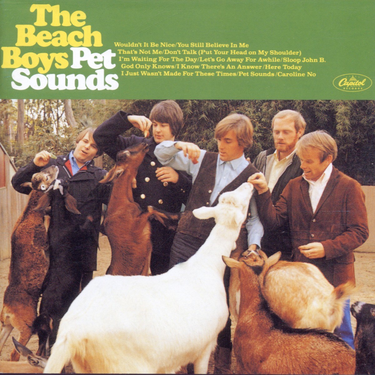 Afbeelding van Pet Sounds