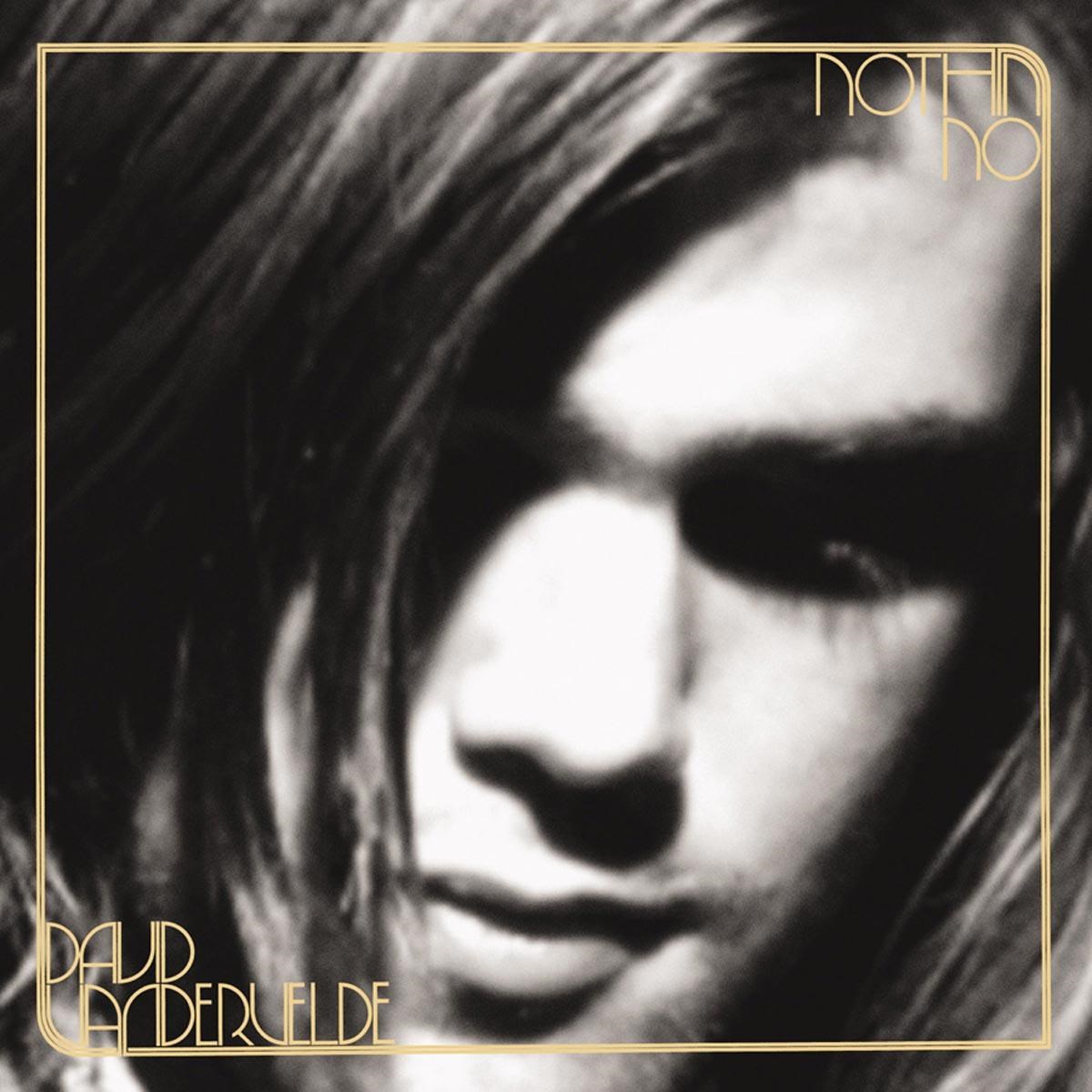 Afbeelding van David Vandervelde - Nothin' No